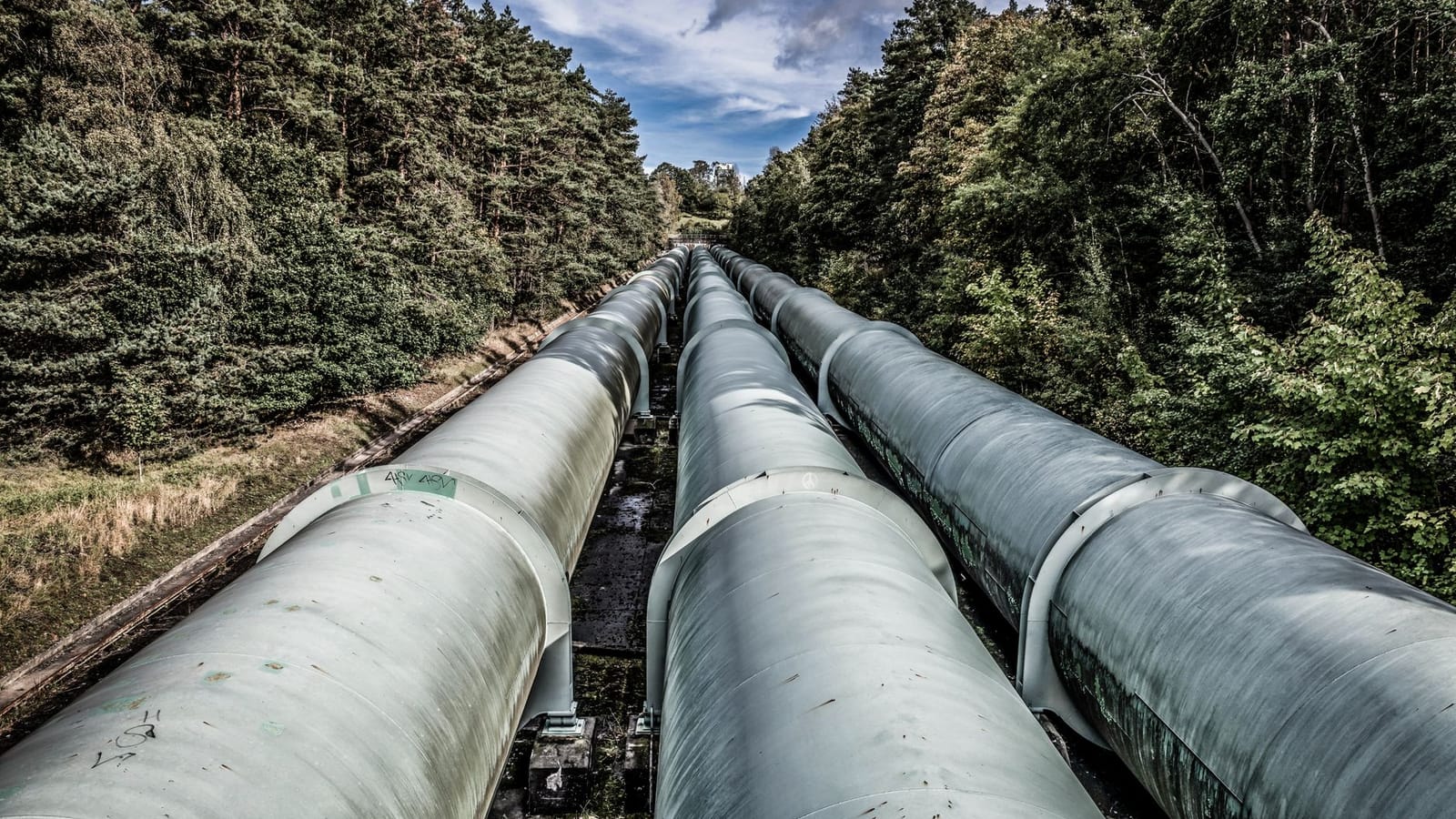 View of large industrial pipelines running through a lush forest landscape.