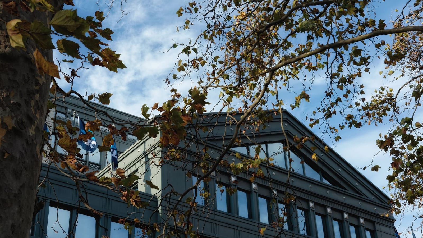 Low angle view of a modern Brussels building framed by autumn tree branches against a blue sky.
