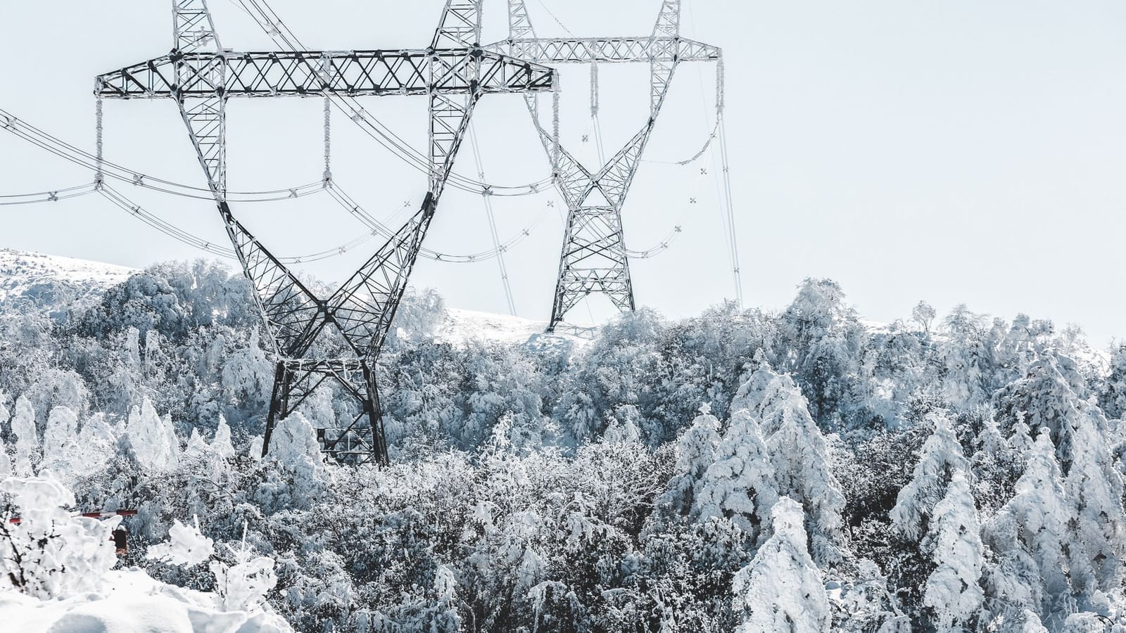 A scenic view of transmission towers amidst snow-covered trees during winter.