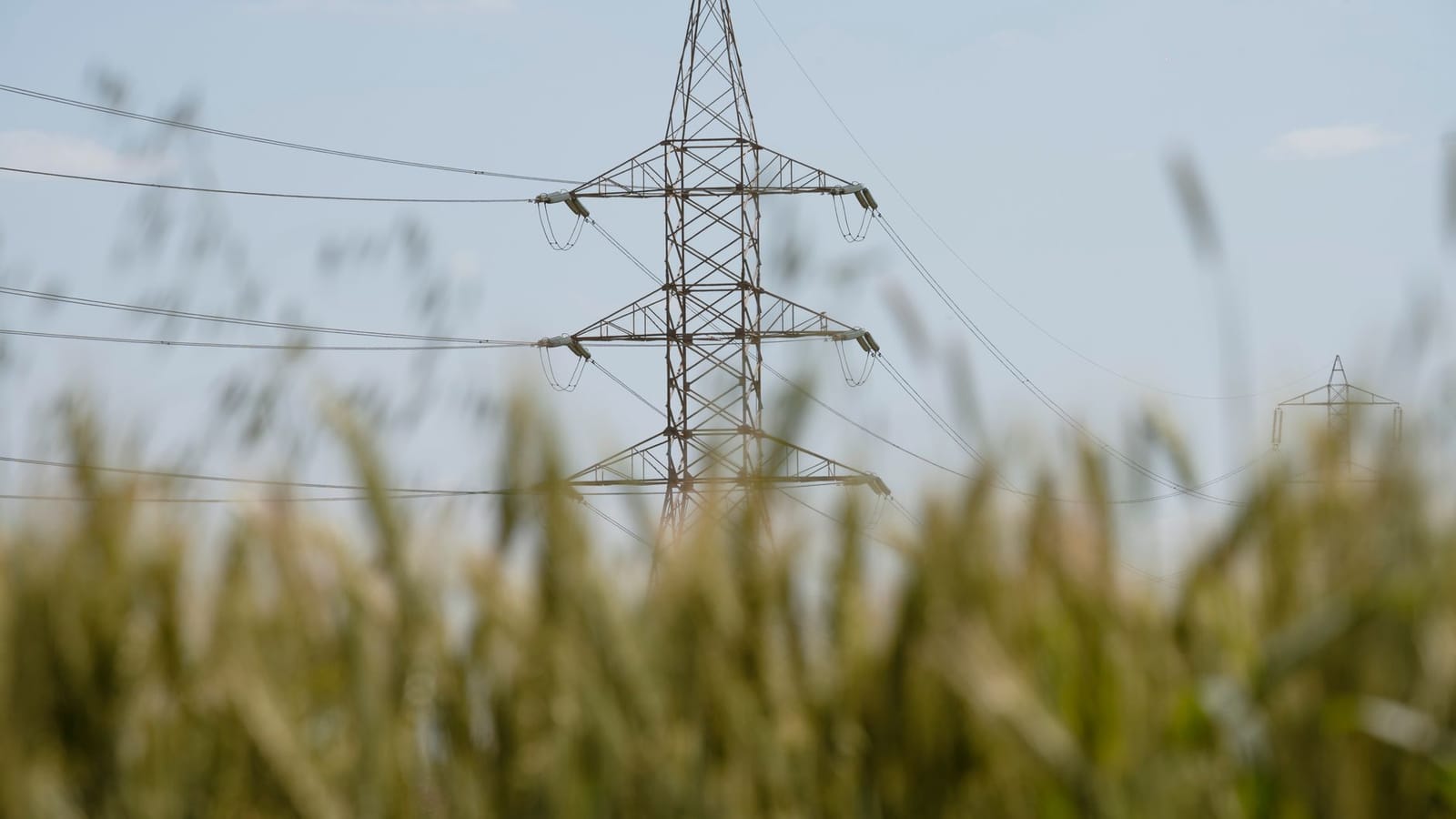 A transmission tower standing in a rural wheat field, symbolizing energy and agriculture.