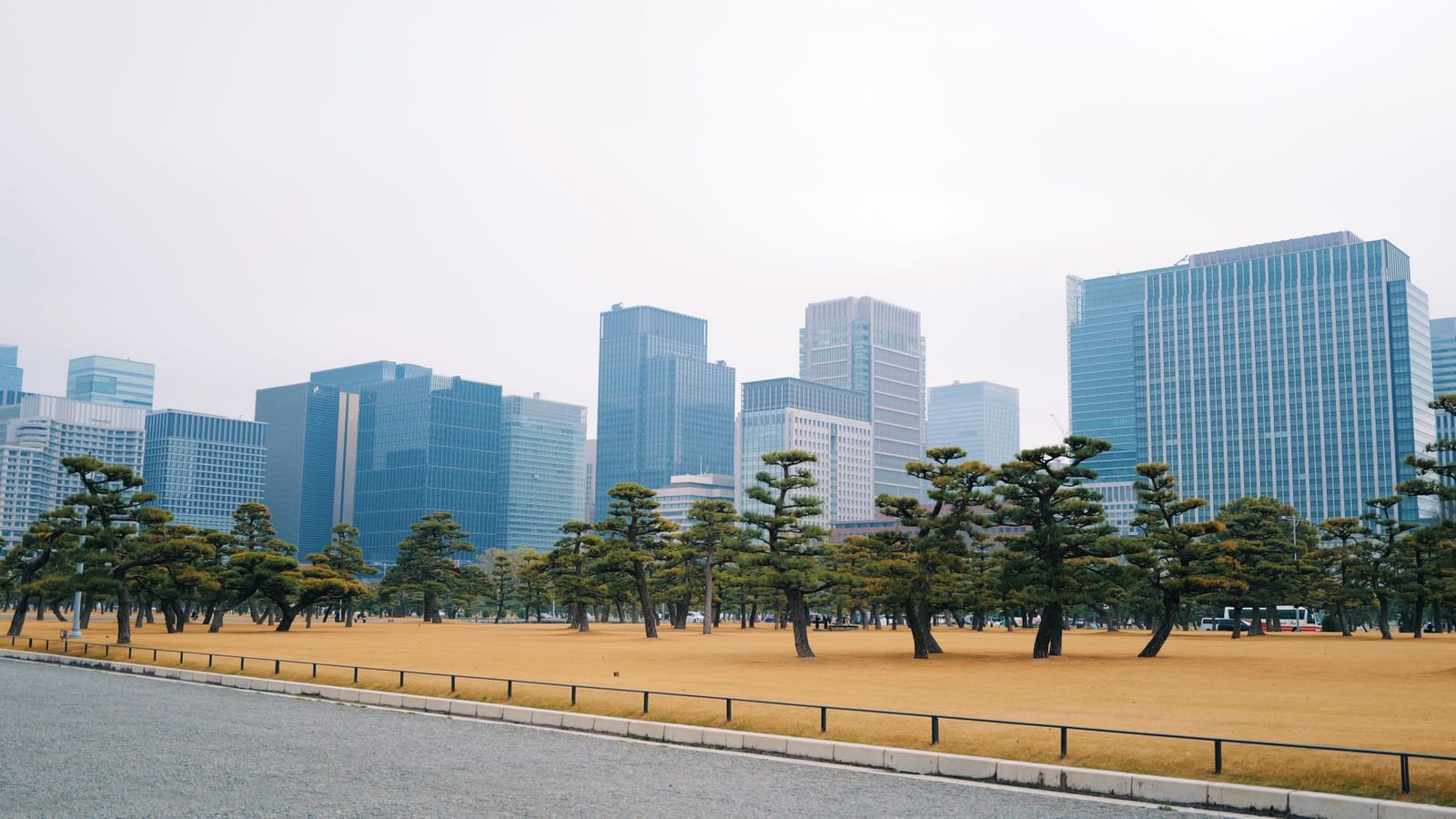 Skyline of Tokyo city with trees from Kokyo Gaien National Garden, perfect for urban travel themes.