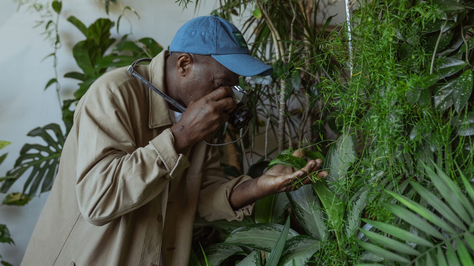 Senior man capturing indoor plants with camera in a peaceful setting.