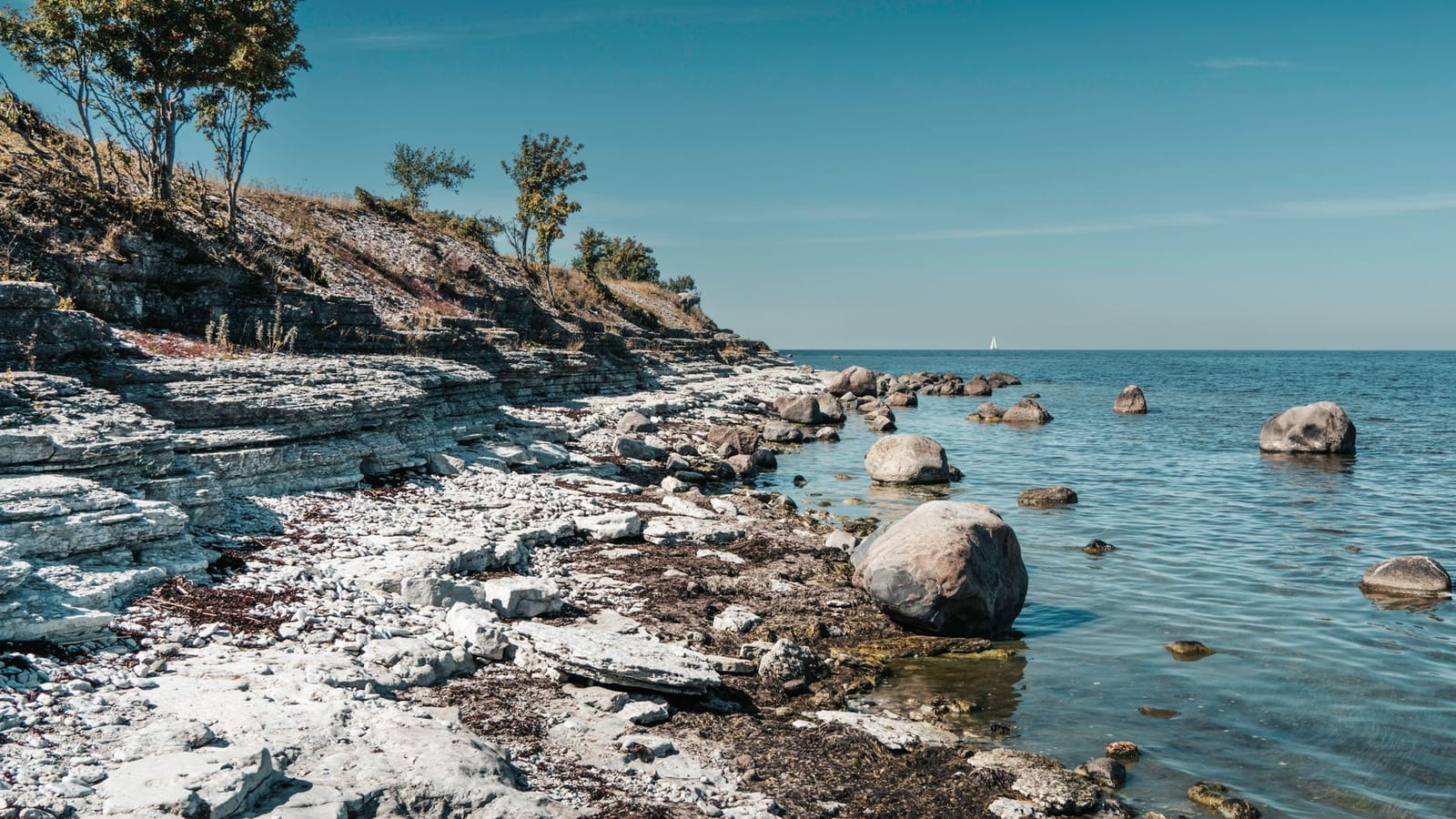 Beautiful rocky coastline under a clear blue sky, perfect for nature and travel imagery.
