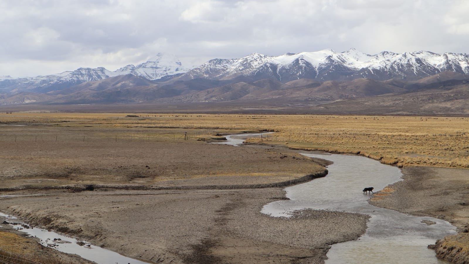 Breathtaking view of a stream flowing through a vast plain with snow-capped mountains.