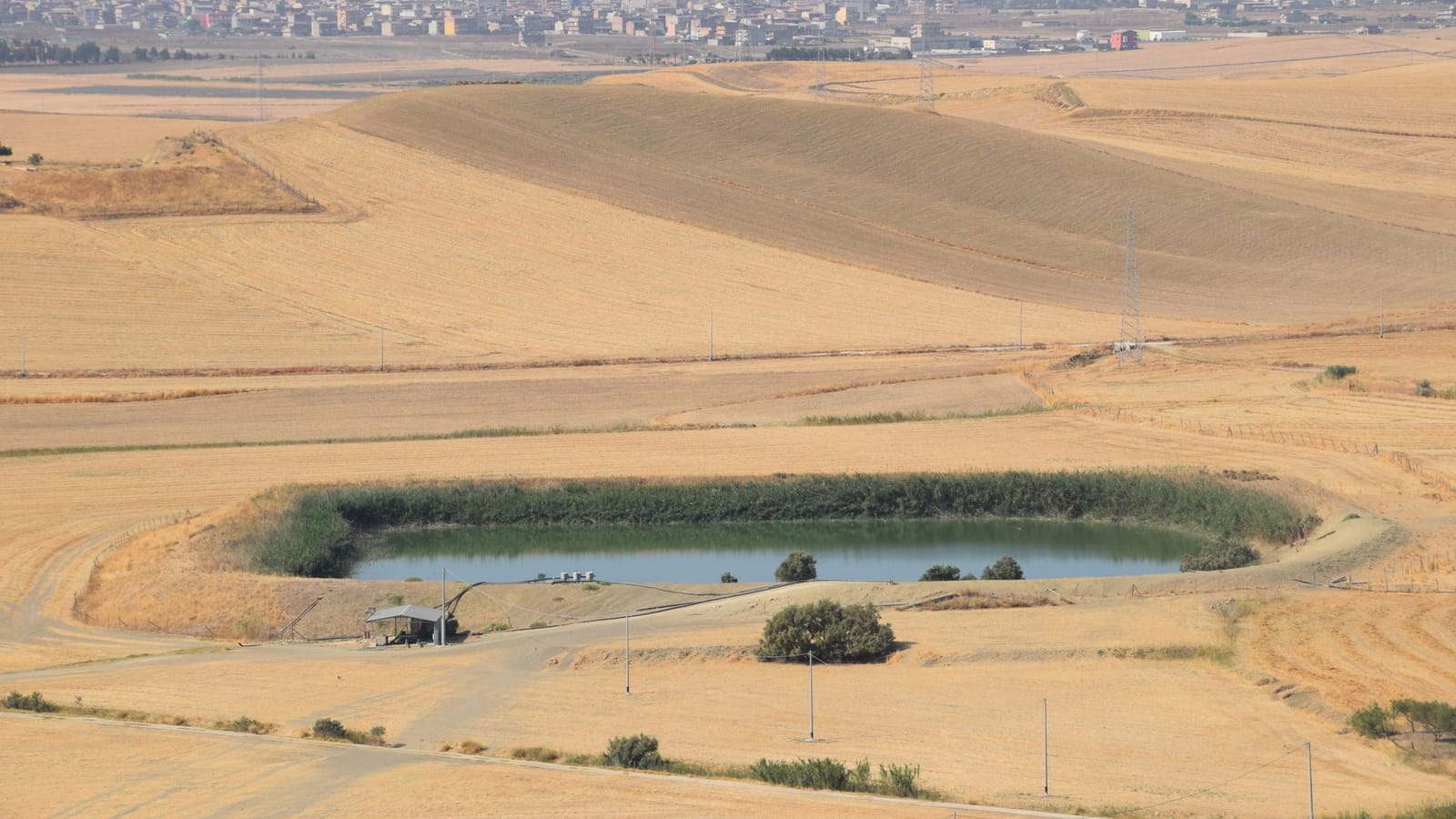 Aerial view showcasing a striking contrast between tranquil rural fields and a bustling distant cityscape.