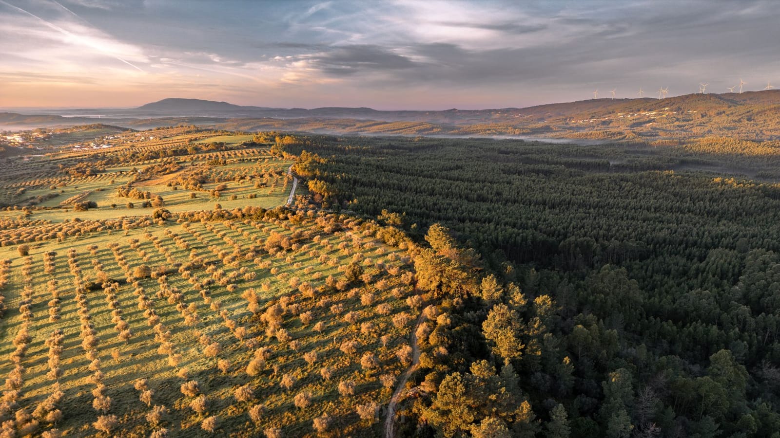 Drone captures the stunning rural landscape of Alcanede, Portugal at sunset.
