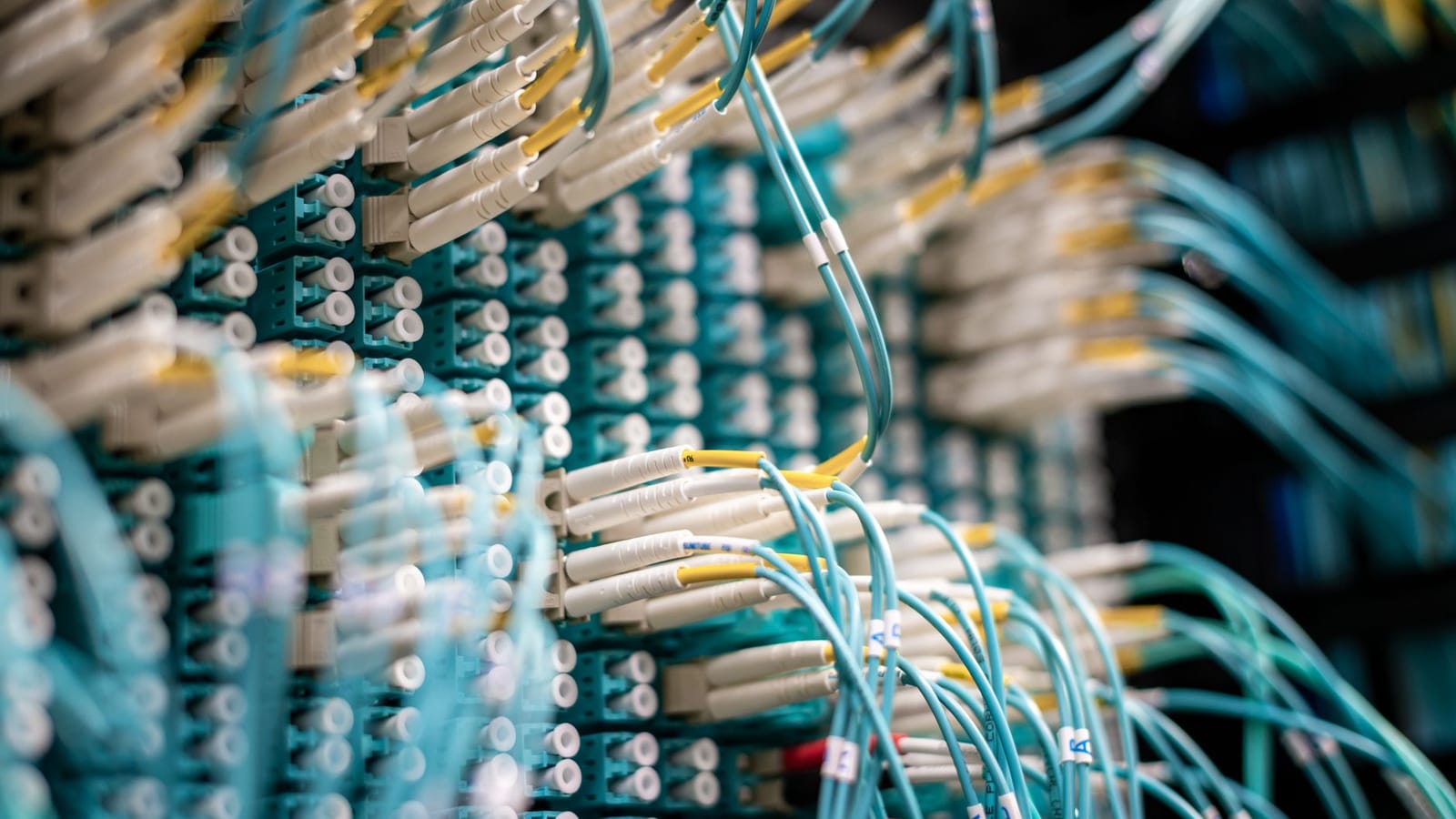 From below of fiber optic switch with sockets and connected rubber cables on blurred background