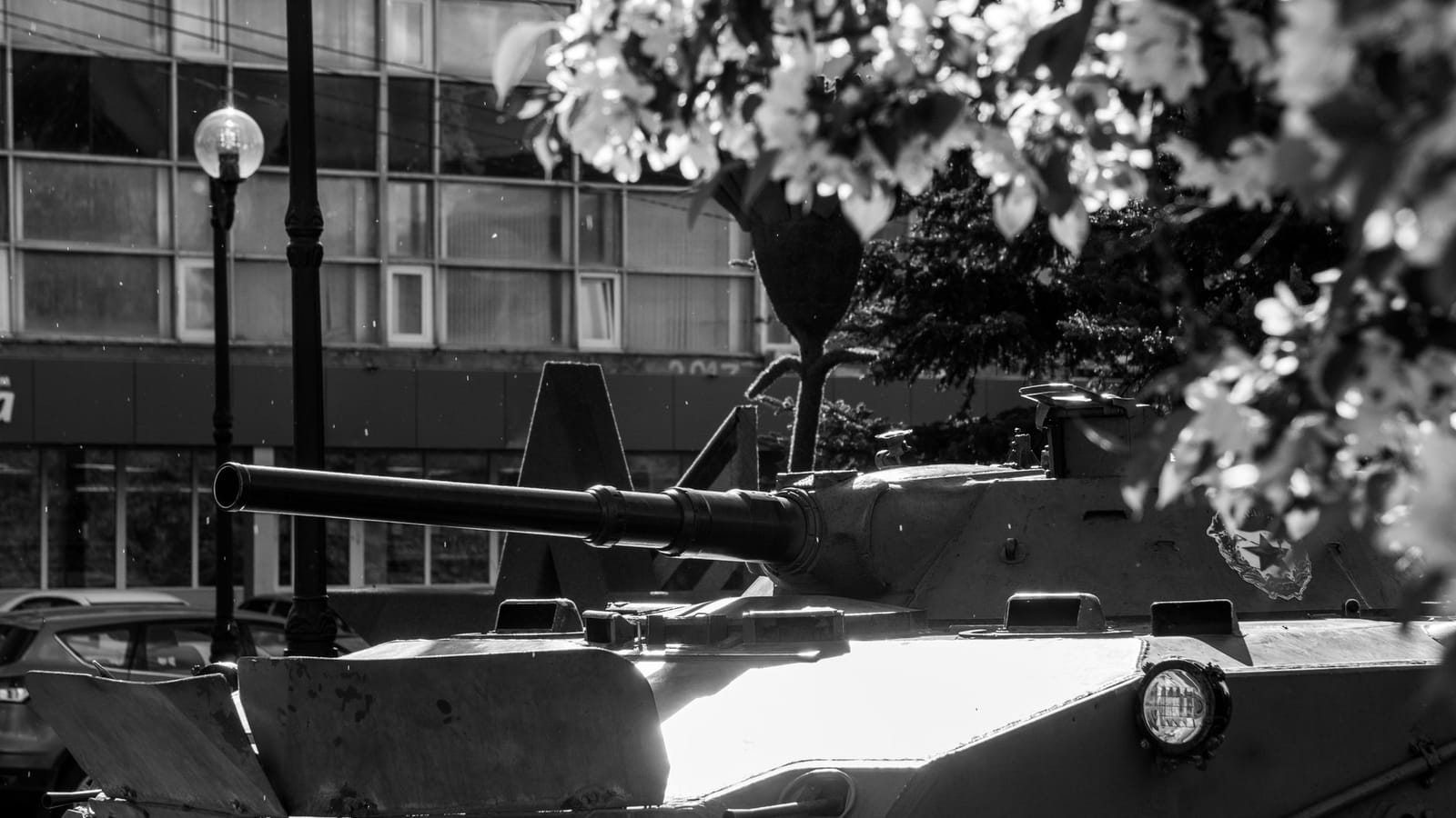 Black and white photo of an armored vehicle partially hidden by foliage.